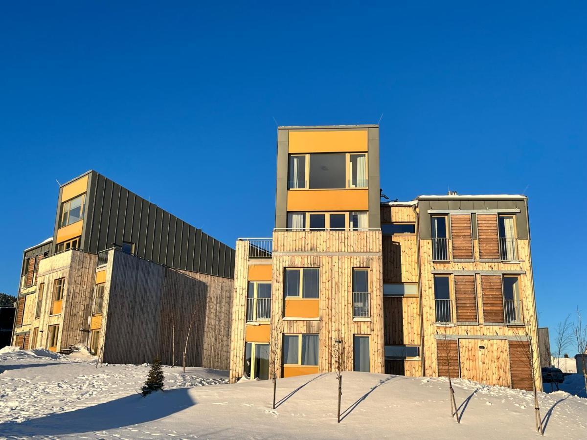 Meadows Apartments Klinovec Loučná pod Klínovcem Exteriör bild