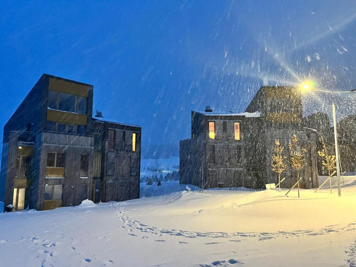 Meadows Apartments Klinovec Loučná pod Klínovcem Exteriör bild
