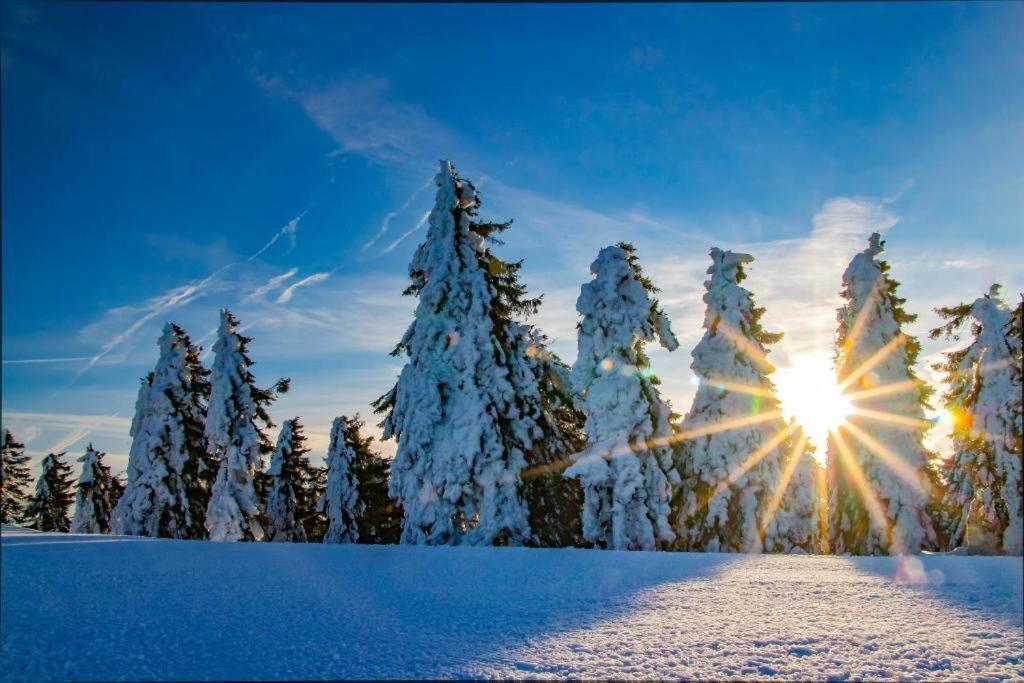 Meadows Apartments Klinovec Loučná pod Klínovcem Exteriör bild