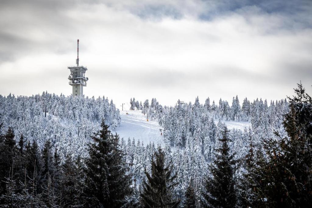 Meadows Apartments Klinovec Loučná pod Klínovcem Exteriör bild