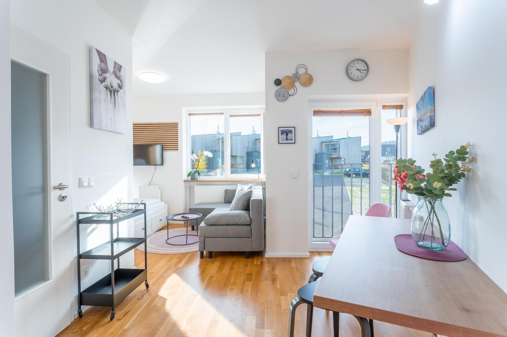 Meadows Apartments Klinovec Loučná pod Klínovcem Rum bild