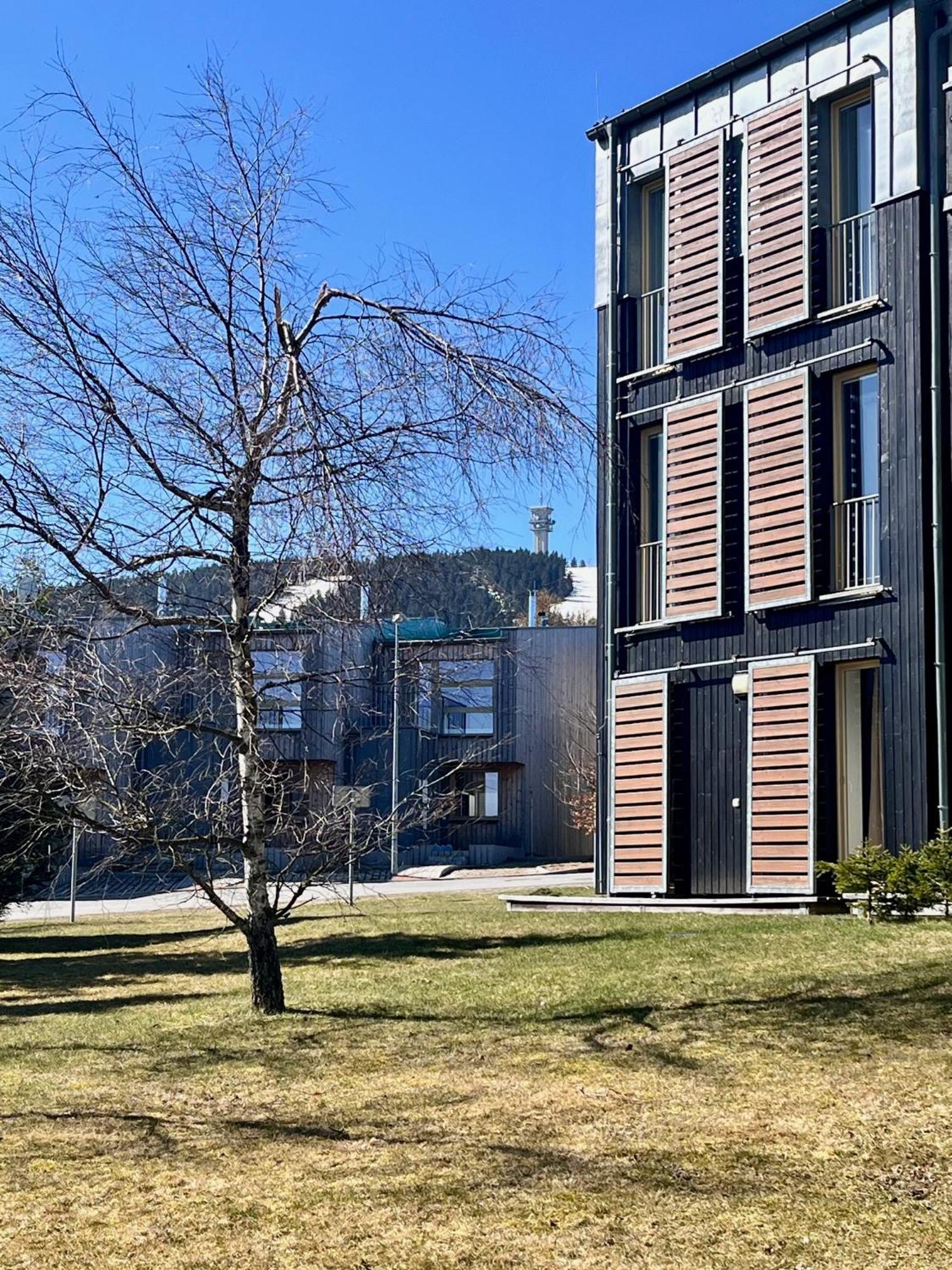 Meadows Apartments Klinovec Loučná pod Klínovcem Exteriör bild